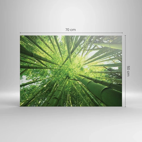 Cuadro sobre lienzo - Impresión de Imagen - En un bosquecillo de bambú - 70x50 cm