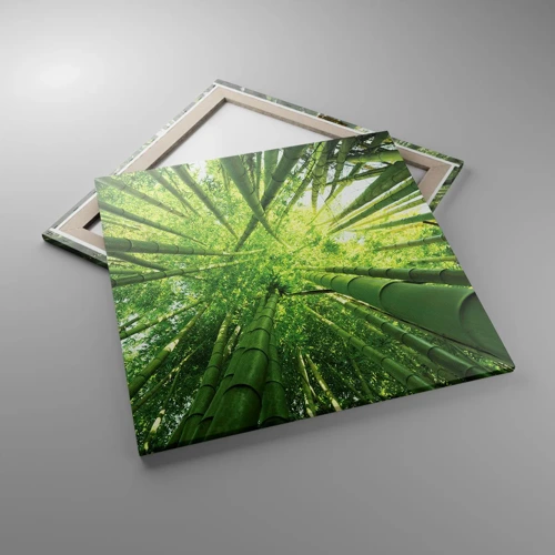 Cuadro sobre lienzo - Impresión de Imagen - En un bosquecillo de bambú - 70x70 cm