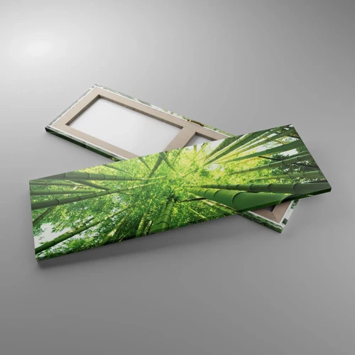 Cuadro sobre lienzo - Impresión de Imagen - En un bosquecillo de bambú - 90x30 cm