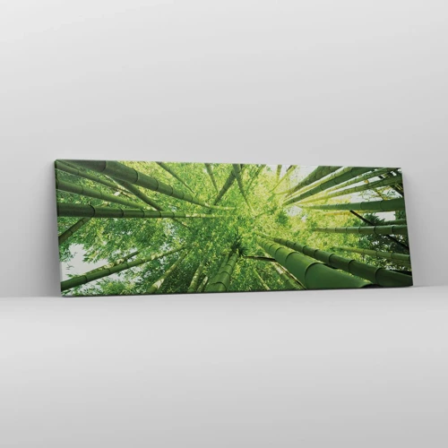 Cuadro sobre lienzo - Impresión de Imagen - En un bosquecillo de bambú - 90x30 cm