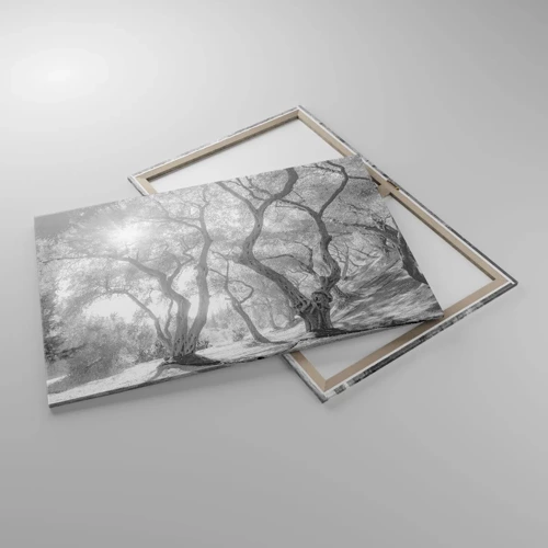 Cuadro sobre lienzo - Impresión de Imagen - En un olivar - 100x70 cm