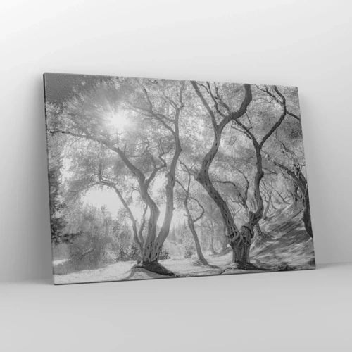 Cuadro sobre lienzo - Impresión de Imagen - En un olivar - 100x70 cm