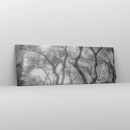 Cuadro sobre lienzo - Impresión de Imagen - En un olivar - 140x50 cm