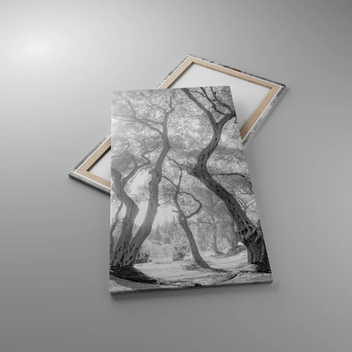 Cuadro sobre lienzo - Impresión de Imagen - En un olivar - 65x120 cm