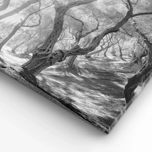 Cuadro sobre lienzo - Impresión de Imagen - En un olivar - 65x120 cm