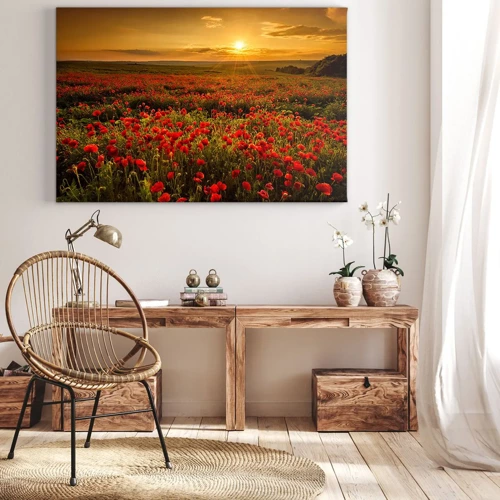 Cuadro sobre lienzo - Impresión de Imagen - Entre los campos de flores - 70x50 cm