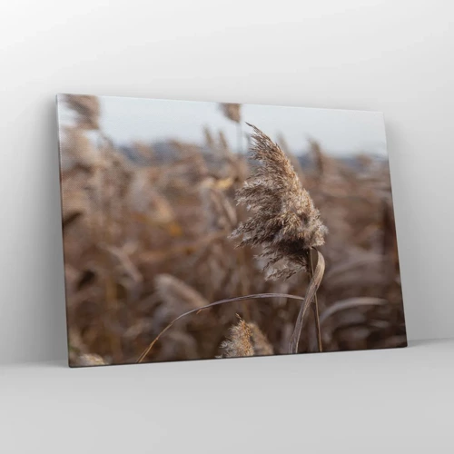 Cuadro sobre lienzo - Impresión de Imagen - Es hora de volar con el viento - 100x70 cm