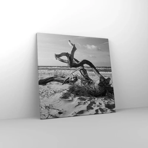 Cuadro sobre lienzo - Impresión de Imagen - Escultura marina - 50x50 cm