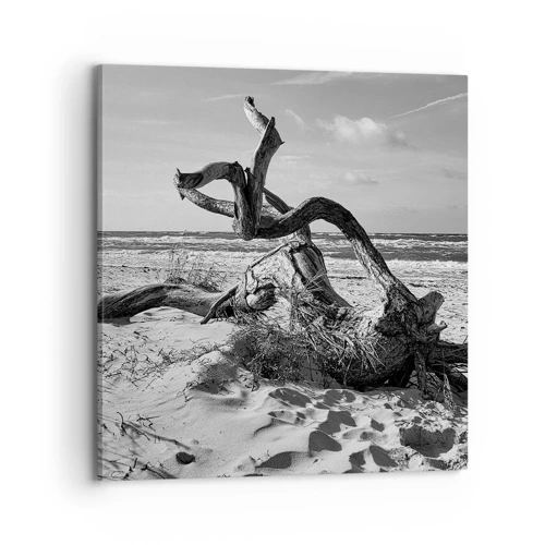 Cuadro sobre lienzo - Impresión de Imagen - Escultura marina - 70x70 cm