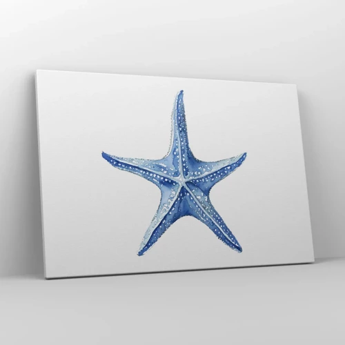 Cuadro sobre lienzo - Impresión de Imagen - Estrella de mar - 120x80 cm