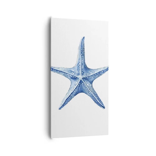 Cuadro sobre lienzo - Impresión de Imagen - Estrella de mar - 65x120 cm