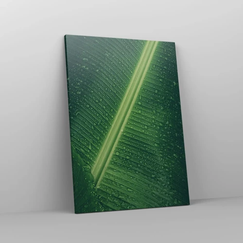 Cuadro sobre lienzo - Impresión de Imagen - Estructura del verde - 50x70 cm