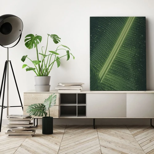 Cuadro sobre lienzo - Impresión de Imagen - Estructura del verde - 50x70 cm