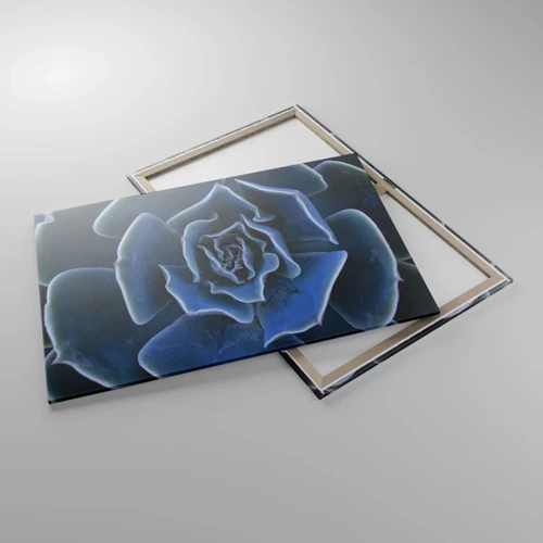 Cuadro sobre lienzo - Impresión de Imagen - Flor del desierto - 100x70 cm