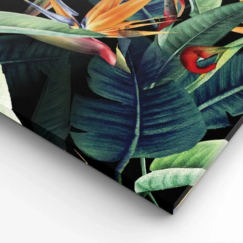 Cuadro sobre lienzo - Impresión de Imagen - Flores de llamas de los trópicos - 100x40 cm
