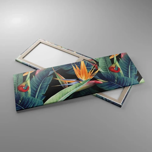 Cuadro sobre lienzo - Impresión de Imagen - Flores de llamas de los trópicos - 140x50 cm