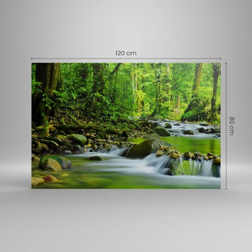 Cuadro sobre lienzo - Impresión de Imagen - Flotar en un mar de verde - 120x80 cm