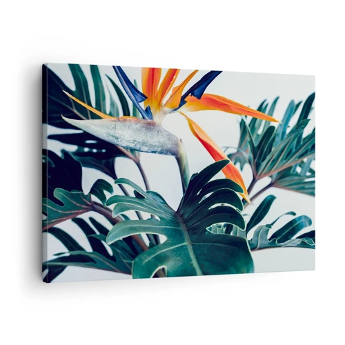Cuadro sobre lienzo - Impresión de Imagen - La jaula del pájaro colorido - 70x50 cm