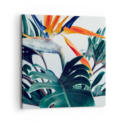 Cuadro sobre lienzo - Impresión de Imagen - La jaula del pájaro colorido - 70x70 cm
