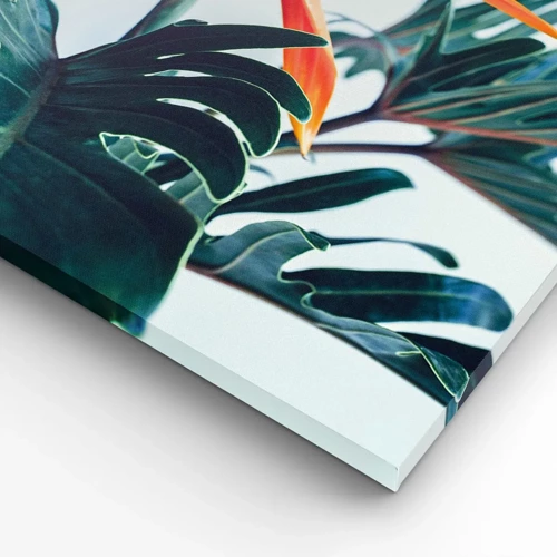 Cuadro sobre lienzo - Impresión de Imagen - La jaula del pájaro colorido - 90x30 cm