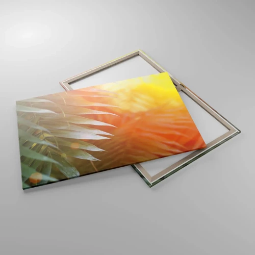 Cuadro sobre lienzo - Impresión de Imagen - Mañana en la selva - 100x70 cm