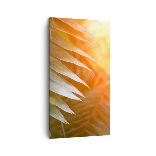 Cuadro sobre lienzo - Impresión de Imagen - Mañana en la selva - 45x80 cm