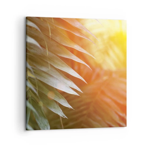Cuadro sobre lienzo - Impresión de Imagen - Mañana en la selva - 60x60 cm
