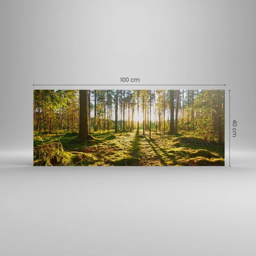 Cuadro sobre lienzo - Impresión de Imagen - ...Más allá de los siete bosques - 100x40 cm