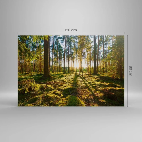 Cuadro sobre lienzo - Impresión de Imagen - ...Más allá de los siete bosques - 120x80 cm