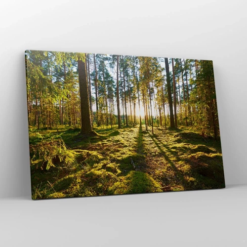 Cuadro sobre lienzo - Impresión de Imagen - ...Más allá de los siete bosques - 120x80 cm