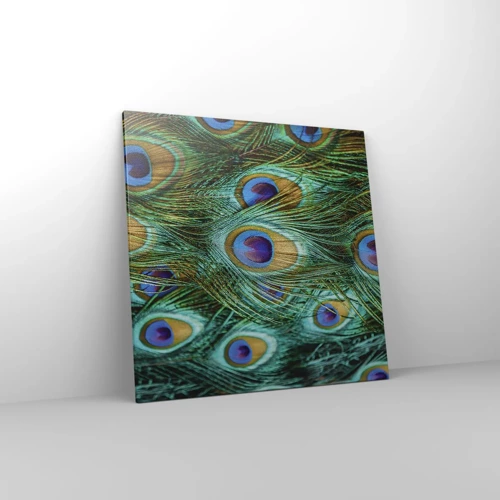 Cuadro sobre lienzo - Impresión de Imagen - Mirada de pavo real - 70x70 cm