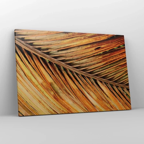 Cuadro sobre lienzo - Impresión de Imagen - Oro de coco - 120x80 cm