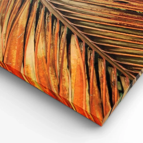 Cuadro sobre lienzo - Impresión de Imagen - Oro de coco - 140x50 cm