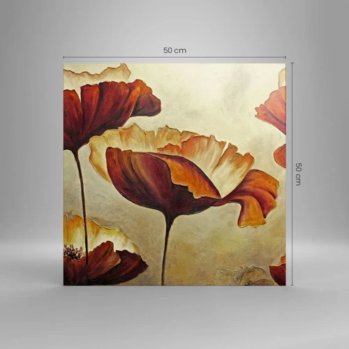 Cuadro sobre lienzo - Impresión de Imagen - Prado de prados - 50x50 cm