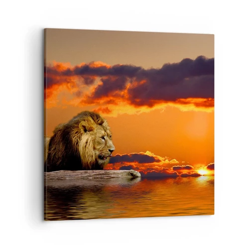 Cuadro sobre lienzo - Impresión de Imagen - Rey de la naturaleza - 50x50 cm