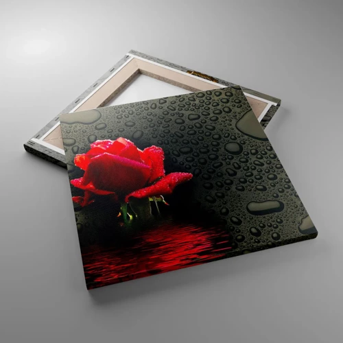Cuadro sobre lienzo - Impresión de Imagen - Rojo y negro - 40x40 cm