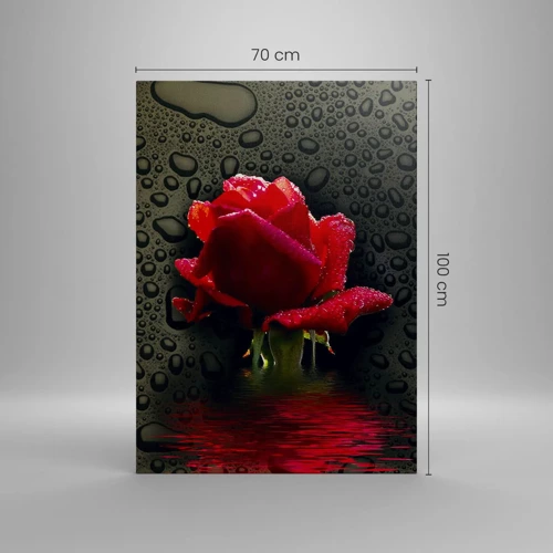 Cuadro sobre lienzo - Impresión de Imagen - Rojo y negro - 70x100 cm