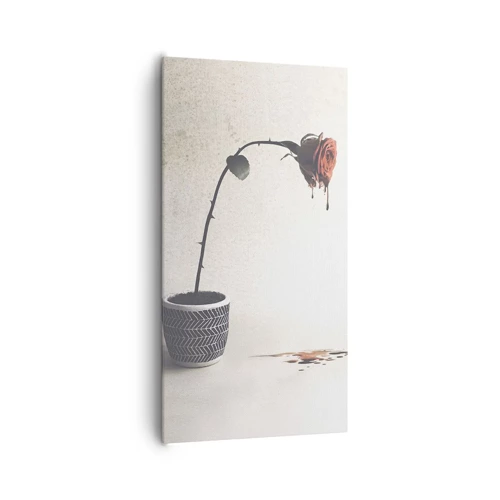 Cuadro sobre lienzo - Impresión de Imagen - Rosa dolorosa - 65x120 cm