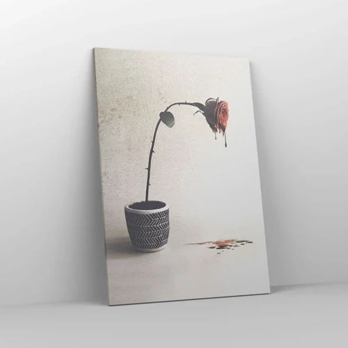Cuadro sobre lienzo - Impresión de Imagen - Rosa dolorosa - 70x100 cm
