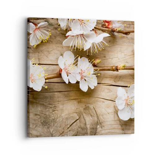 Cuadro sobre lienzo - Impresión de Imagen - Se acerca la primavera - 30x30 cm