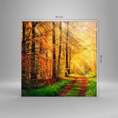 Cuadro sobre lienzo - Impresión de Imagen - Silencio dorado del bosque - 30x30 cm