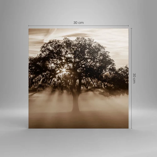 Cuadro sobre lienzo - Impresión de Imagen - Un árbol de buenas noticias  - 30x30 cm