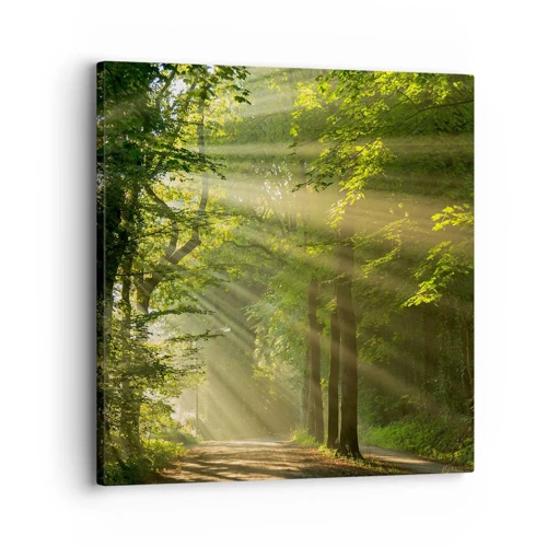 Cuadro sobre lienzo - Impresión de Imagen - Un momento en el bosque - 30x30 cm