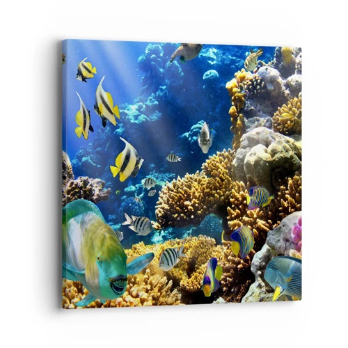 Cuadro sobre lienzo - Impresión de Imagen - Vacaciones submarinas - 40x40 cm