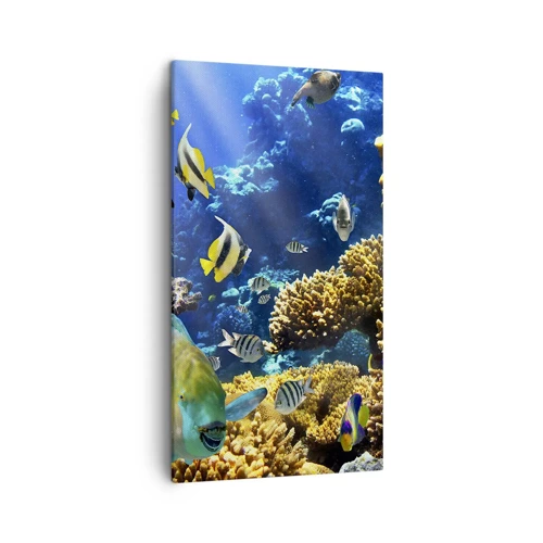 Cuadro sobre lienzo - Impresión de Imagen - Vacaciones submarinas - 45x80 cm