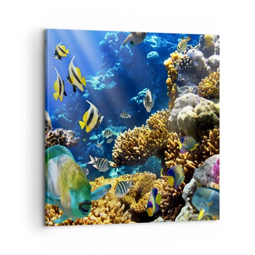 Cuadro sobre lienzo - Impresión de Imagen - Vacaciones submarinas - 60x60 cm