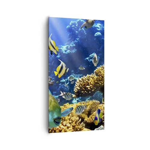 Cuadro sobre lienzo - Impresión de Imagen - Vacaciones submarinas - 65x120 cm