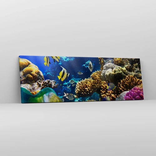 Cuadro sobre lienzo - Impresión de Imagen - Vacaciones submarinas - 90x30 cm