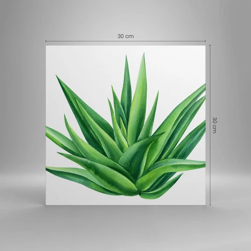 Cuadro sobre lienzo - Impresión de Imagen - Verde - fuerza - vida - 30x30 cm