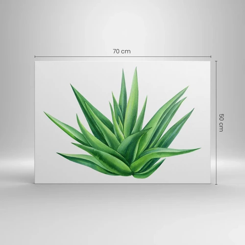 Cuadro sobre lienzo - Impresión de Imagen - Verde - fuerza - vida - 70x50 cm